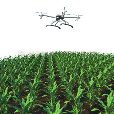 田间无人机式高通量植物表型采集分析平台TP-GTL-AIR