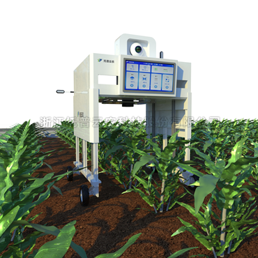 无人车式植物高通量表型采集分析平台（横跨式）TP-GTL-ARD